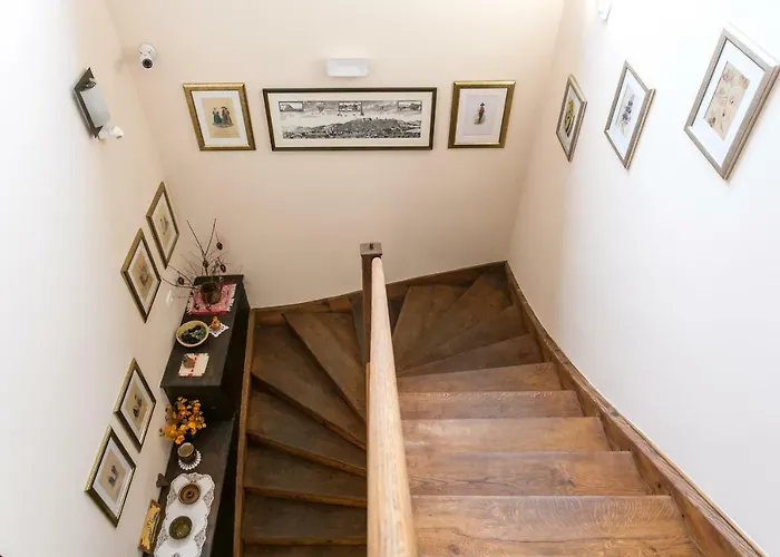 Rohrmann לובליאנה